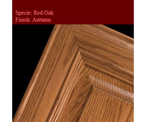 Red Oak-Autumn