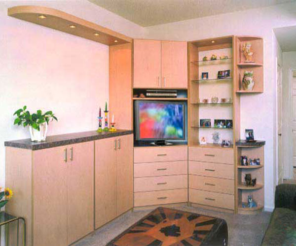 living room cabinet with entertainment center